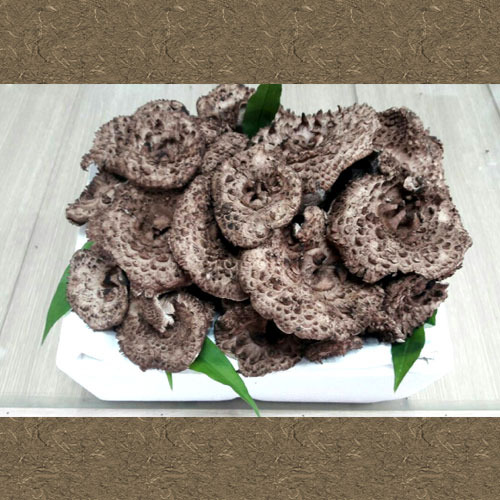 [양양산] 능이버섯[냉동]1kg